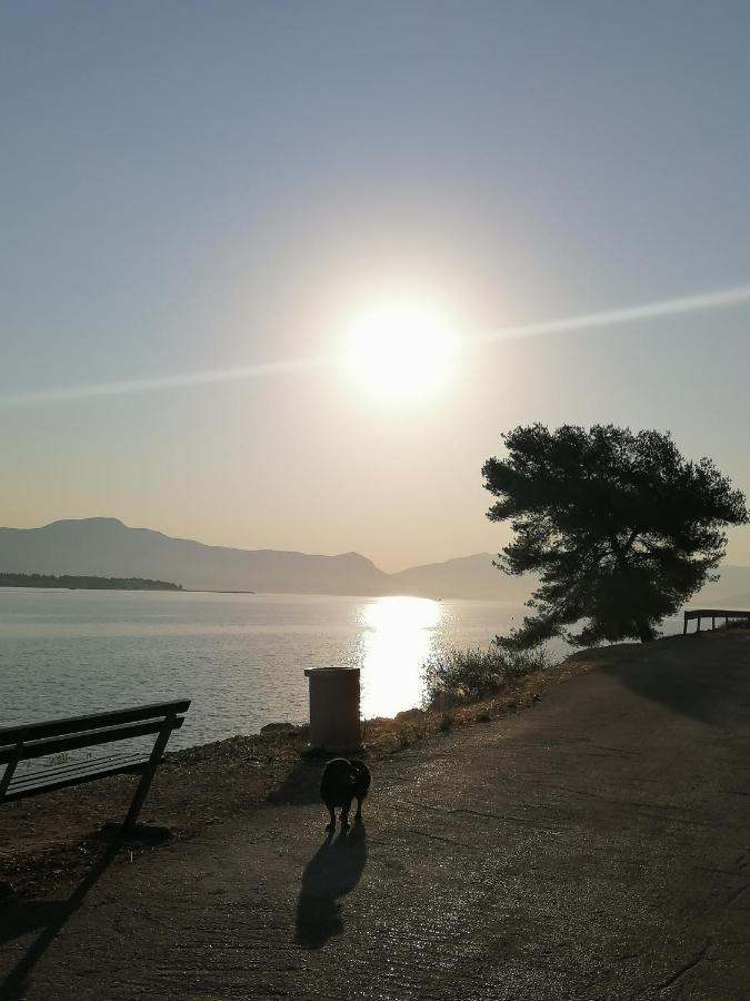 Apartmani Barnjak Trogir Kültér fotó